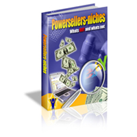 power sellers niches