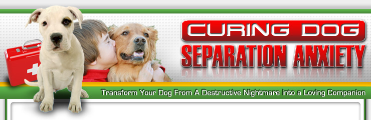 Dog Separation Anxiety Cure